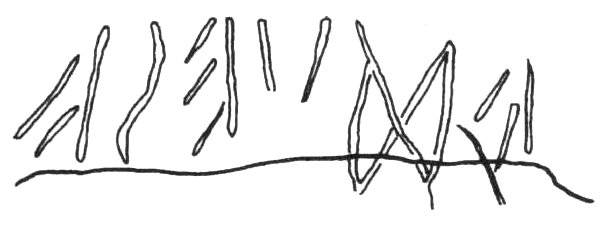 File:BG·23 drawing Morandi.jpg